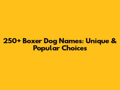 250+ Boxer Dog Names: Unique & Popular Choices