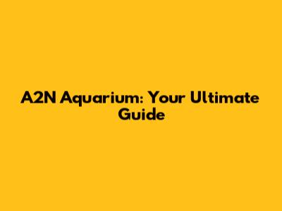 A2N Aquarium: Your Ultimate Guide