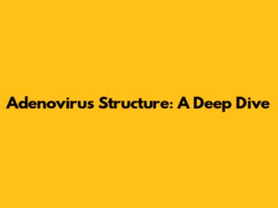 Adenovirus Structure: A Deep Dive