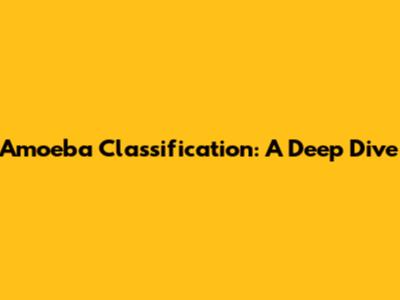 Amoeba Classification: A Deep Dive