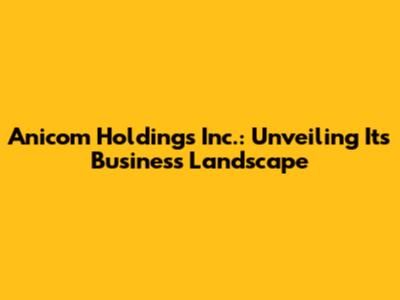 Anicom Holdings Inc.: Unveiling Its Business Landscape