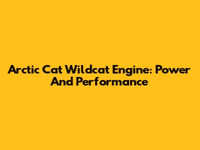 Arctic Cat Wildcat Engine: Power And Performance
