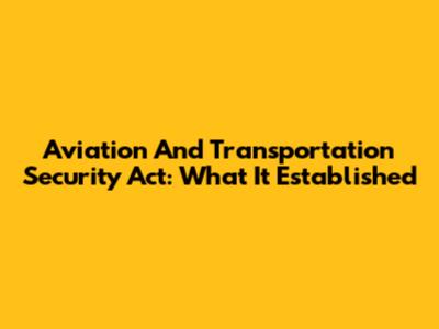 Aviation And Transportation Security Act: What It Established