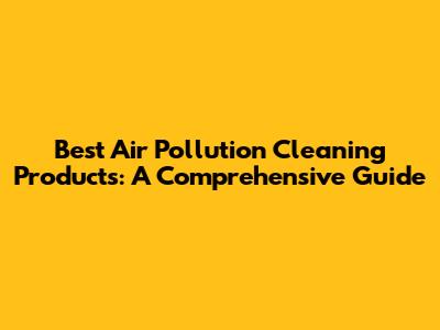 Best Air Pollution Cleaning Products: A Comprehensive Guide
