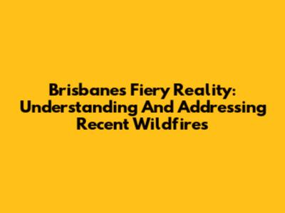 Brisbane's Fiery Reality: Understanding And Addressing Recent Wildfires