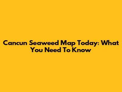 Cancun Seaweed Map Today: What You Need To Know