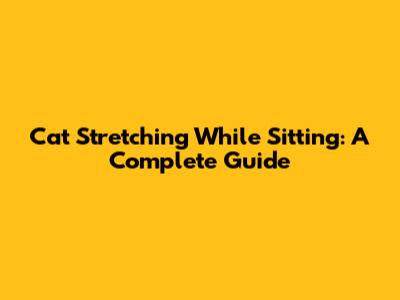 Cat Stretching While Sitting: A Complete Guide