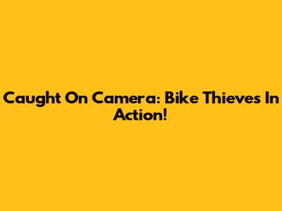 Caught On Camera: Bike Thieves In Action!
