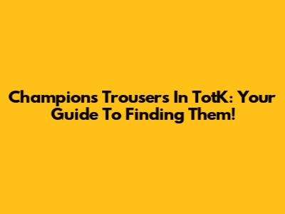 Champion's Trousers In TotK: Your Guide To Finding Them!