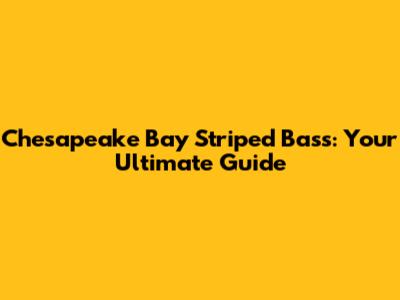 Chesapeake Bay Striped Bass: Your Ultimate Guide