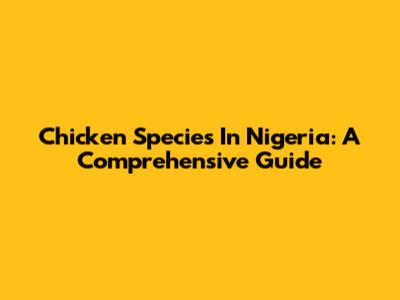 Chicken Species In Nigeria: A Comprehensive Guide