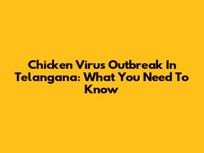 Chicken Virus Outbreak In Telangana: What You Need To Know