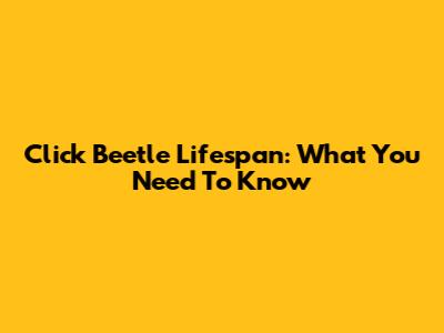 Click Beetle Lifespan: What You Need To Know