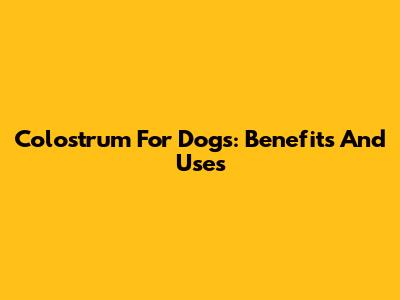 Colostrum For Dogs: Benefits And Uses