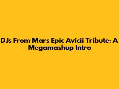 DJs From Mars' Epic Avicii Tribute: A Megamashup Intro