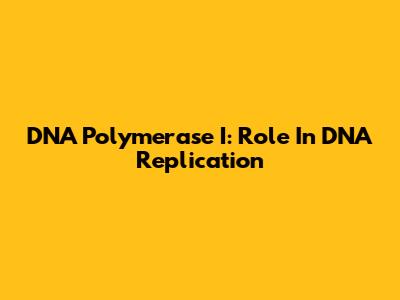 DNA Polymerase I: Role In DNA Replication