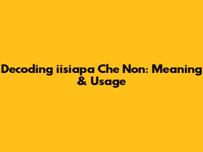 Decoding 'iisiapa Che Non': Meaning & Usage