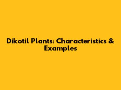 Dikotil Plants: Characteristics & Examples