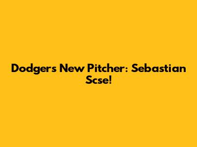 Dodgers' New Pitcher: Sebastian Scse!