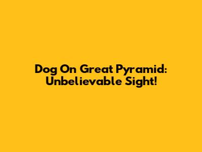 Dog On Great Pyramid: Unbelievable Sight!
