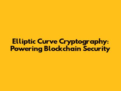 Elliptic Curve Cryptography: Powering Blockchain Security
