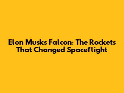Elon Musk's Falcon: The Rockets That Changed Spaceflight