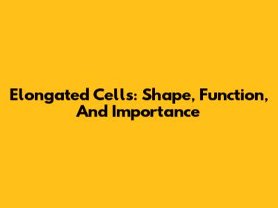 Elongated Cells: Shape, Function, And Importance