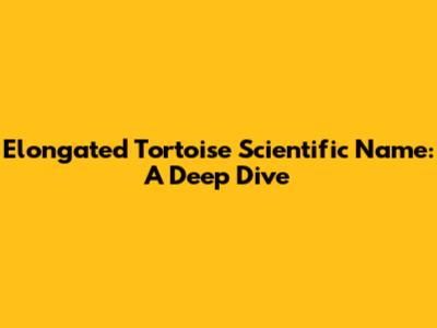 Elongated Tortoise Scientific Name: A Deep Dive