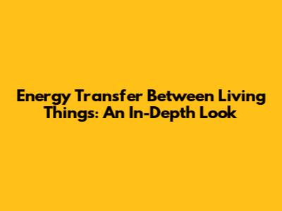 Energy Transfer Between Living Things: An In-Depth Look