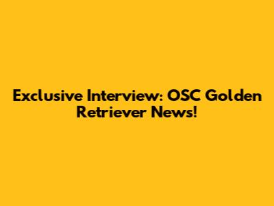 Exclusive Interview: OSC Golden Retriever News!