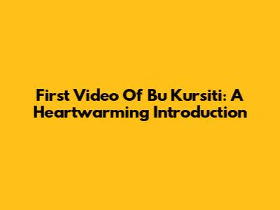 First Video Of Bu Kursiti: A Heartwarming Introduction
