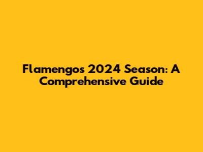 Flamengo's 2024 Season: A Comprehensive Guide