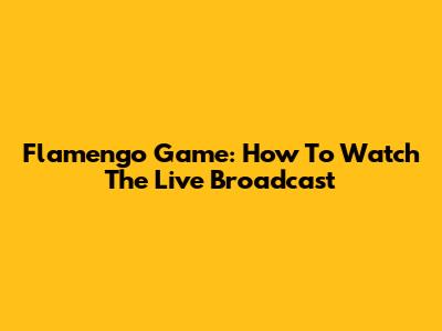 Flamengo Game: How To Watch The Live Broadcast