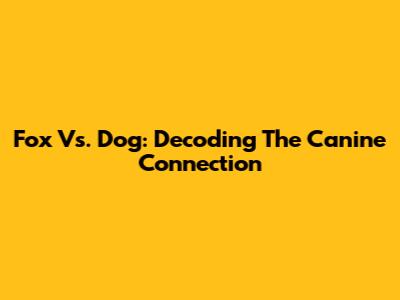 Fox Vs. Dog: Decoding The Canine Connection