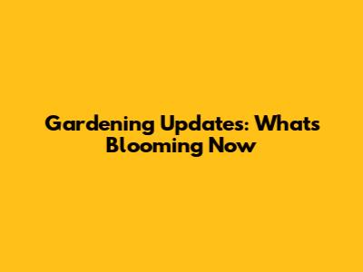 Gardening Updates: What's Blooming Now