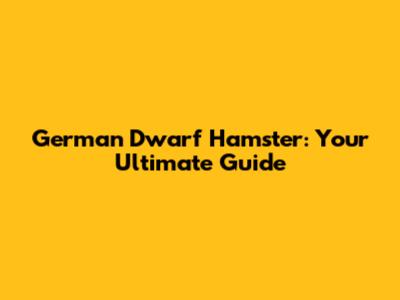 German Dwarf Hamster: Your Ultimate Guide