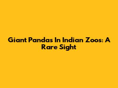 Giant Pandas In Indian Zoos: A Rare Sight