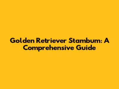 Golden Retriever Stambum: A Comprehensive Guide