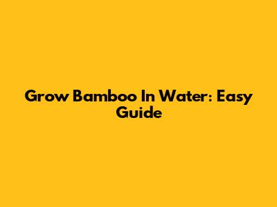 Grow Bamboo In Water: Easy Guide