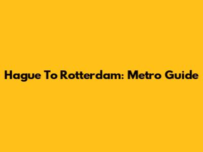 Hague To Rotterdam: Metro Guide