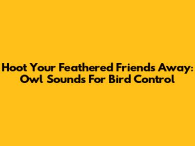 Hoot Your Feathered Friends Away: Owl Sounds For Bird Control