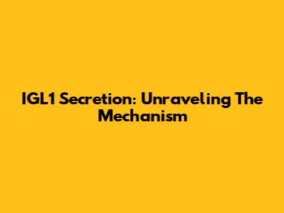 IGL1 Secretion: Unraveling The Mechanism