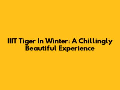 IIIT Tiger In Winter: A Chillingly Beautiful Experience