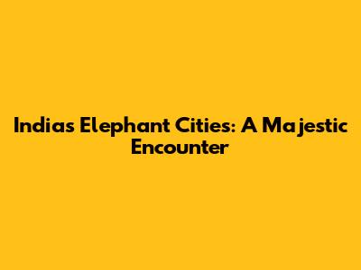 India's Elephant Cities: A Majestic Encounter