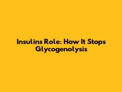 Insulin's Role: How It Stops Glycogenolysis