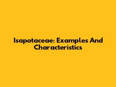Isapotaceae: Examples And Characteristics