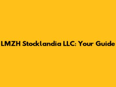 LMZH Stocklandia LLC: Your Guide