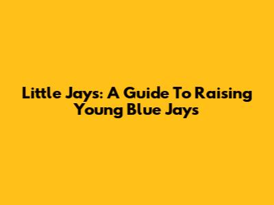 Little Jays: A Guide To Raising Young Blue Jays