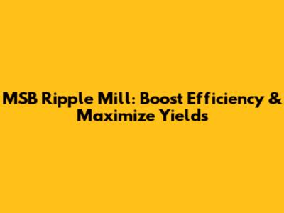 MSB Ripple Mill: Boost Efficiency & Maximize Yields