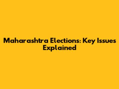 Maharashtra Elections: Key Issues Explained